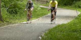 Willows on France Gallery 25