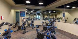 Yacht Harbor Club Gallery 11