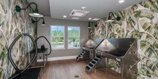 Encore Narcoossee​ Gallery 23