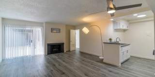 339 S. Ardmore Gallery 11