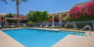 Palm Desert Gallery 6