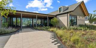 The Prado Gallery 38