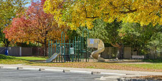 Dayton Meadows Gallery 22