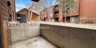 427 Wright Street Gallery 12
