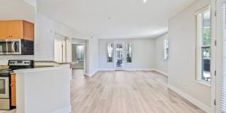 The Kensington Gallery 15