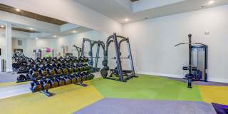 Korina and Alder at The Grove Korina and Alder at The Grove Gallery 27