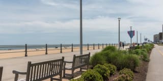 Indigo 19 Gallery 29