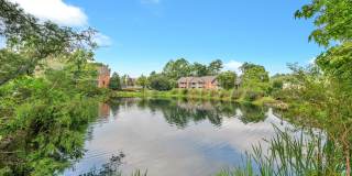 Turtle Lake Gallery 22