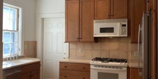 41 Linnaean Street Gallery 6