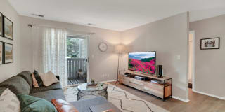 TGM Park Meadows Gallery 31