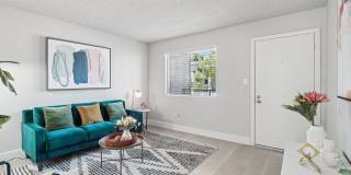 Ardella on 28 Gallery 5