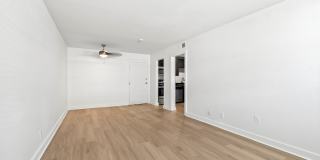 The Canvas Gallery 2