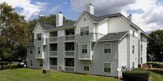 Coffey Creek Gallery 22