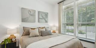 The Leo - 55+ Active Adult Apartment Homes Gallery 8