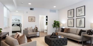 Senior Housing- Palmia, Age 55+ Luxury Apartments Gallery 13