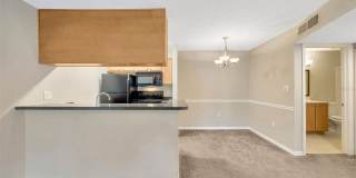 308 LAKE PARSONS Green Gallery 32