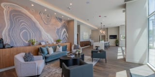 Essence Essence Gallery 13