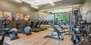 The Ayden Gallery 30