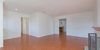 23551 Venisia Gallery 7