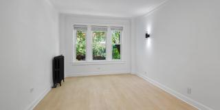 The Onyx on Carmen Gallery 29