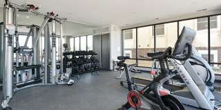 The Serene Gallery 7