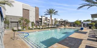 The Aster at Mountain Vista - BRAND NEW Gallery 20