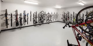 Radius Uptown Apartments Gallery 32