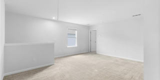 360 Paulownia Circle Gallery 23