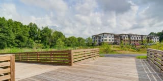 The Edison Sugarloaf Apartments Gallery 18