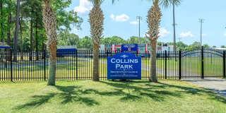 Collins Park Gallery 10