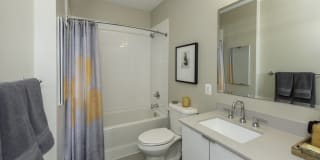 Arcade Sunshine Gallery 44