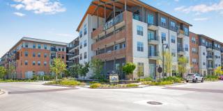 Alta at the Farm Gallery 41