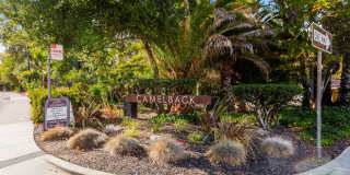 Camelback South Gallery 4