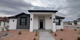 Desert Color Dream! Gallery 1