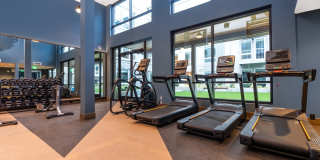 Alexan Main Street Gallery 54