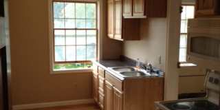 Large 1 Bedroom apartment Gallery 1