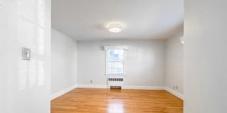 40 Walter Street unit: 1 Gallery 14