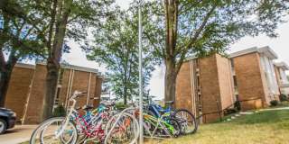 2624 REDCOAT Drive unit: 159 Gallery 19