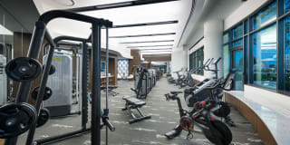 The Dagny Gallery 37