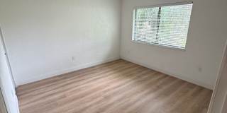 Renovated 2 Bedroom 2 Bath Apartment * A MUST SEE * Gallery 11
