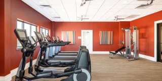 Cortland on South Eads Gallery 20