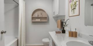 ReNew Brandon Gallery 4