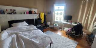 Massive Luxury Apt in Packards Corner Near BU!  Central AC & Heat, XL Rooms! Gallery 3