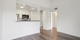 339 S. Ardmore Gallery 31