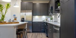 Alta Longwood Gallery 56