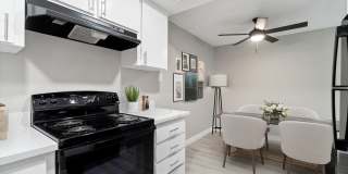 Monte Vista Gallery 11