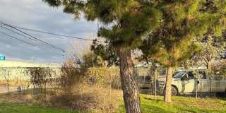 1732 Jameson Street Gallery 35