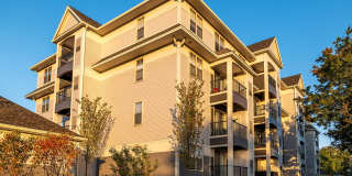 Traders Row Gallery 29