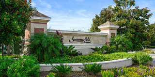 8053 Summerside Circle Gallery 33