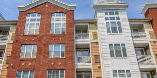 Emerson at Cherry Lane Gallery 18